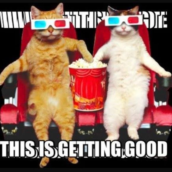 yogiiris